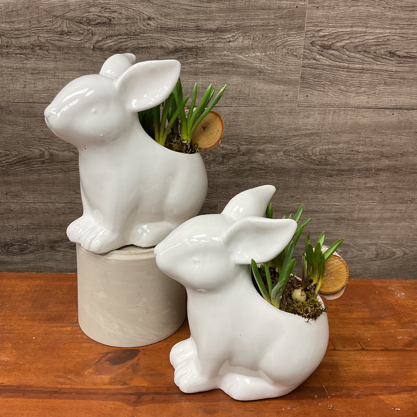 Spring Bunny Planter