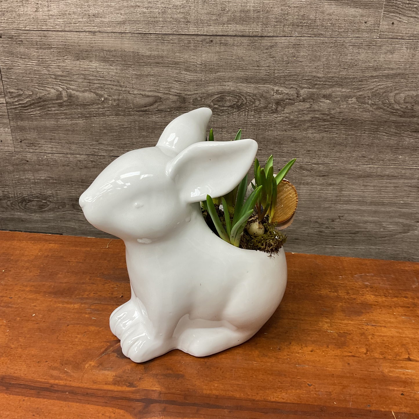 Spring Bunny Planter