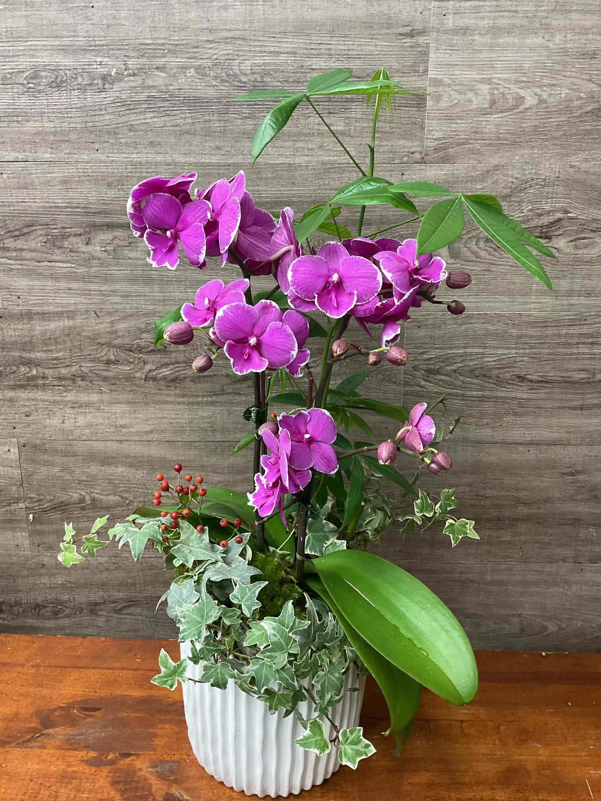 Purple Orchid Planter