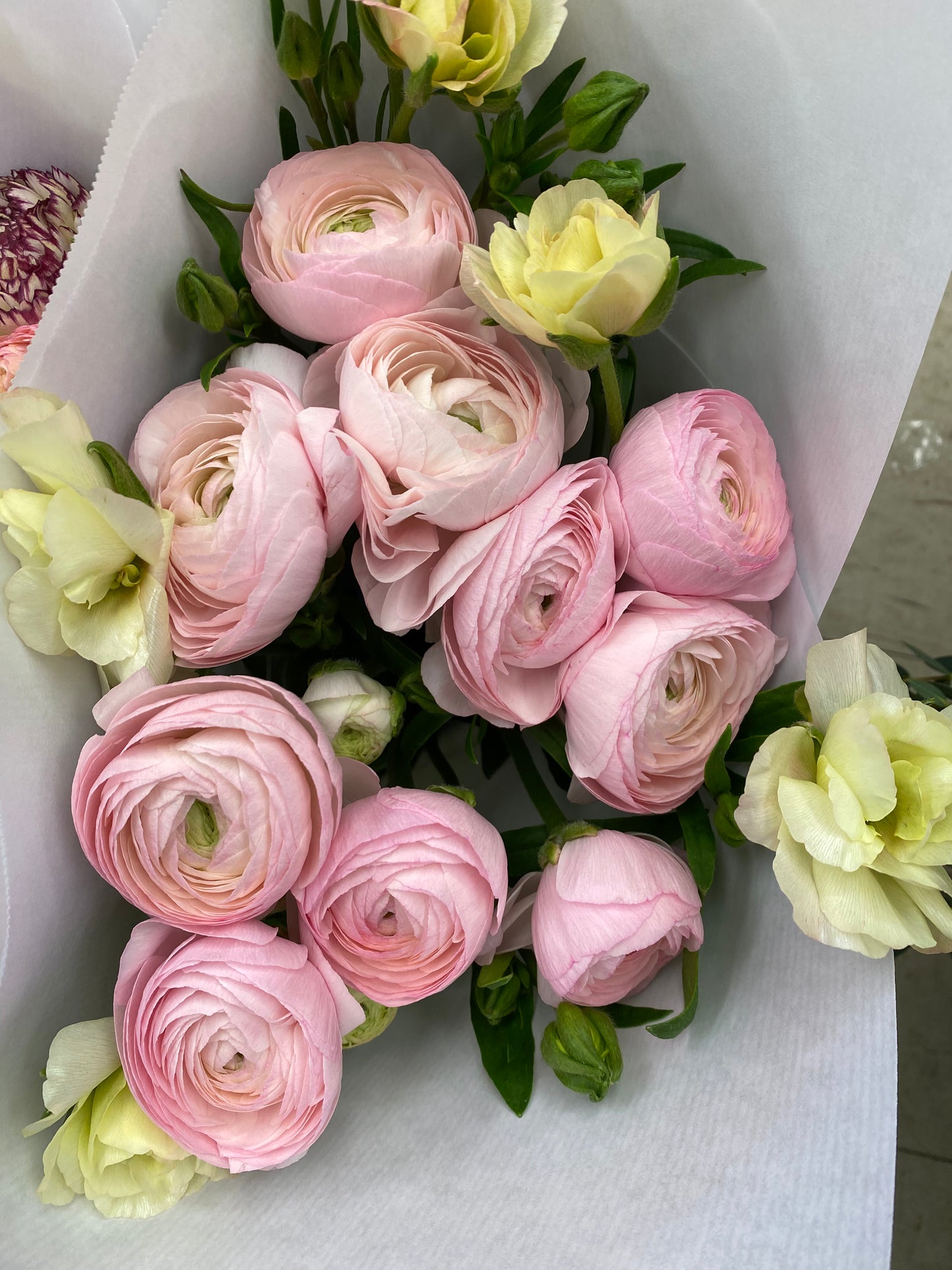 Ranunculus & Butterfly Bouquet