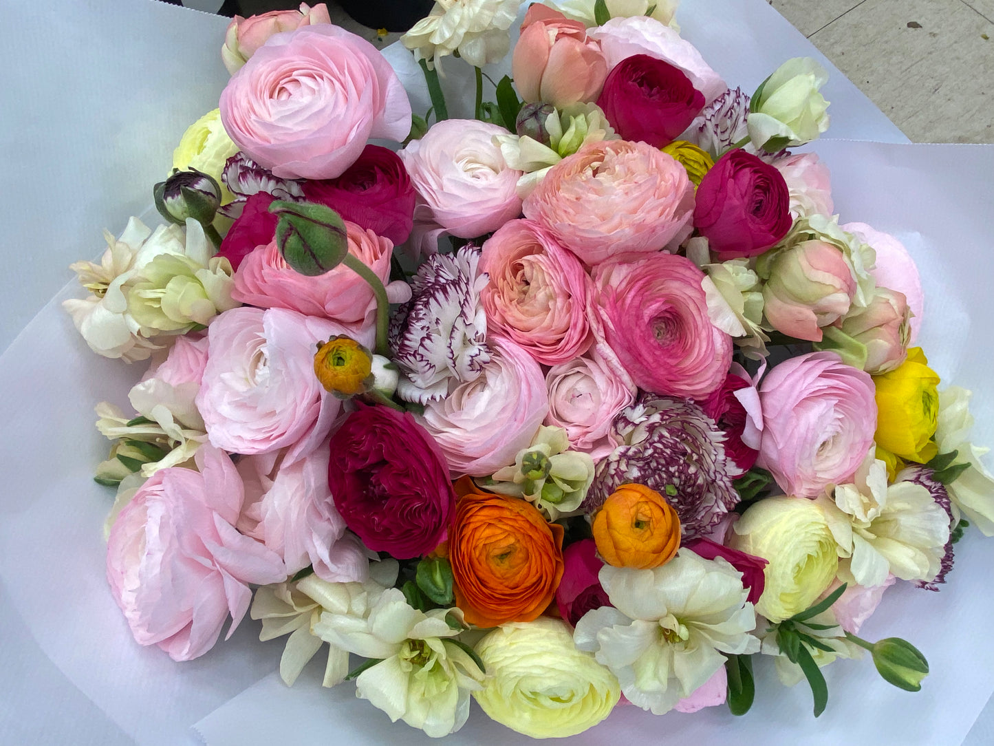 Ranunculus lover BQ