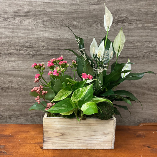Sweet Summer Planter