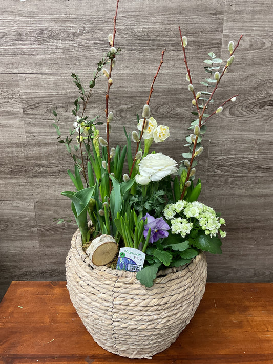 Spring Bulb Planter