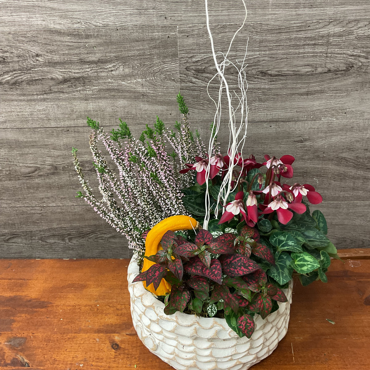 Harvest Planter