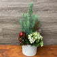 Winter Sparkle Planter