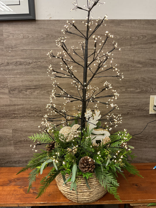 Magic Forrest Arrangement