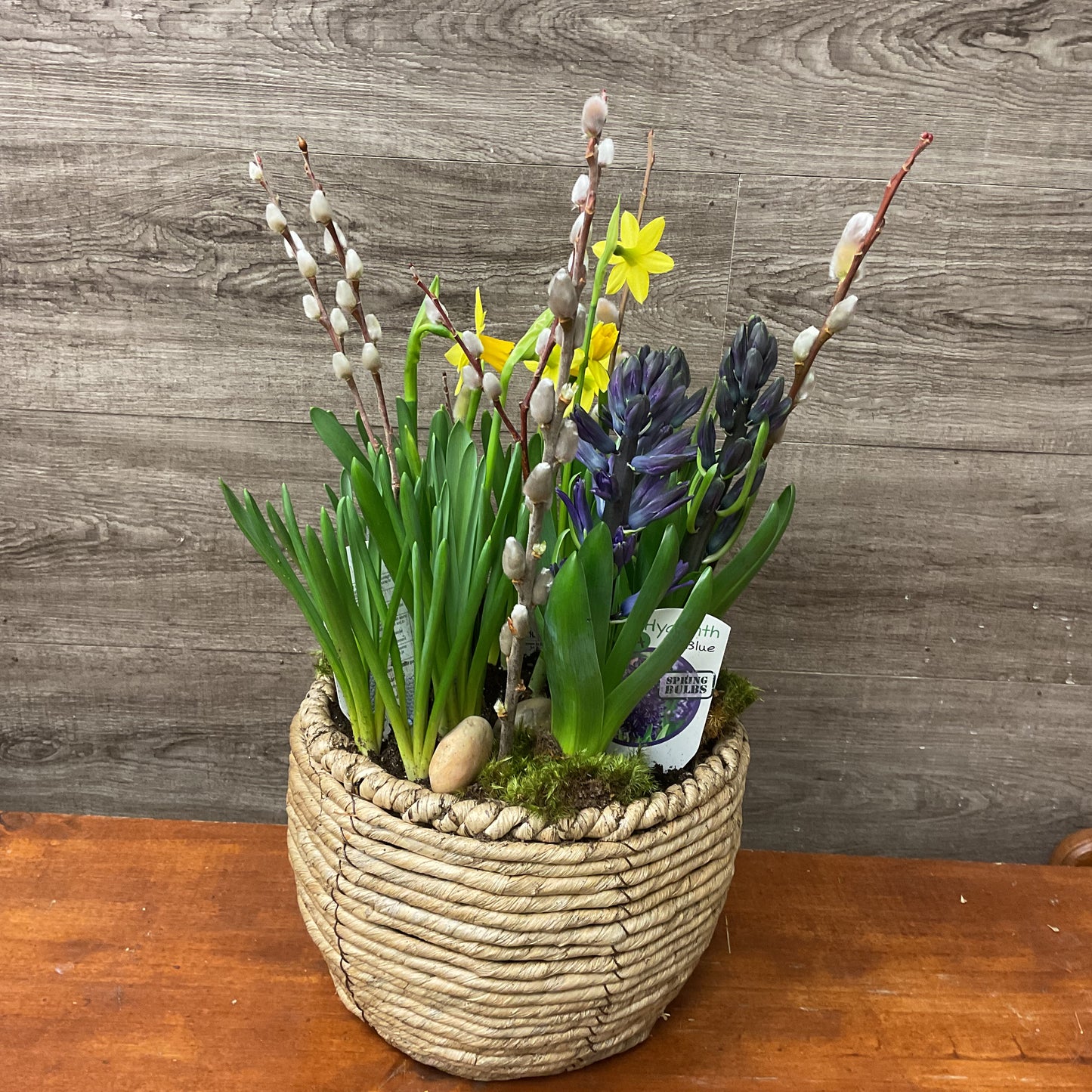 Spring Bulb Planter