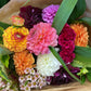 Mixed Dahlia Bouquet