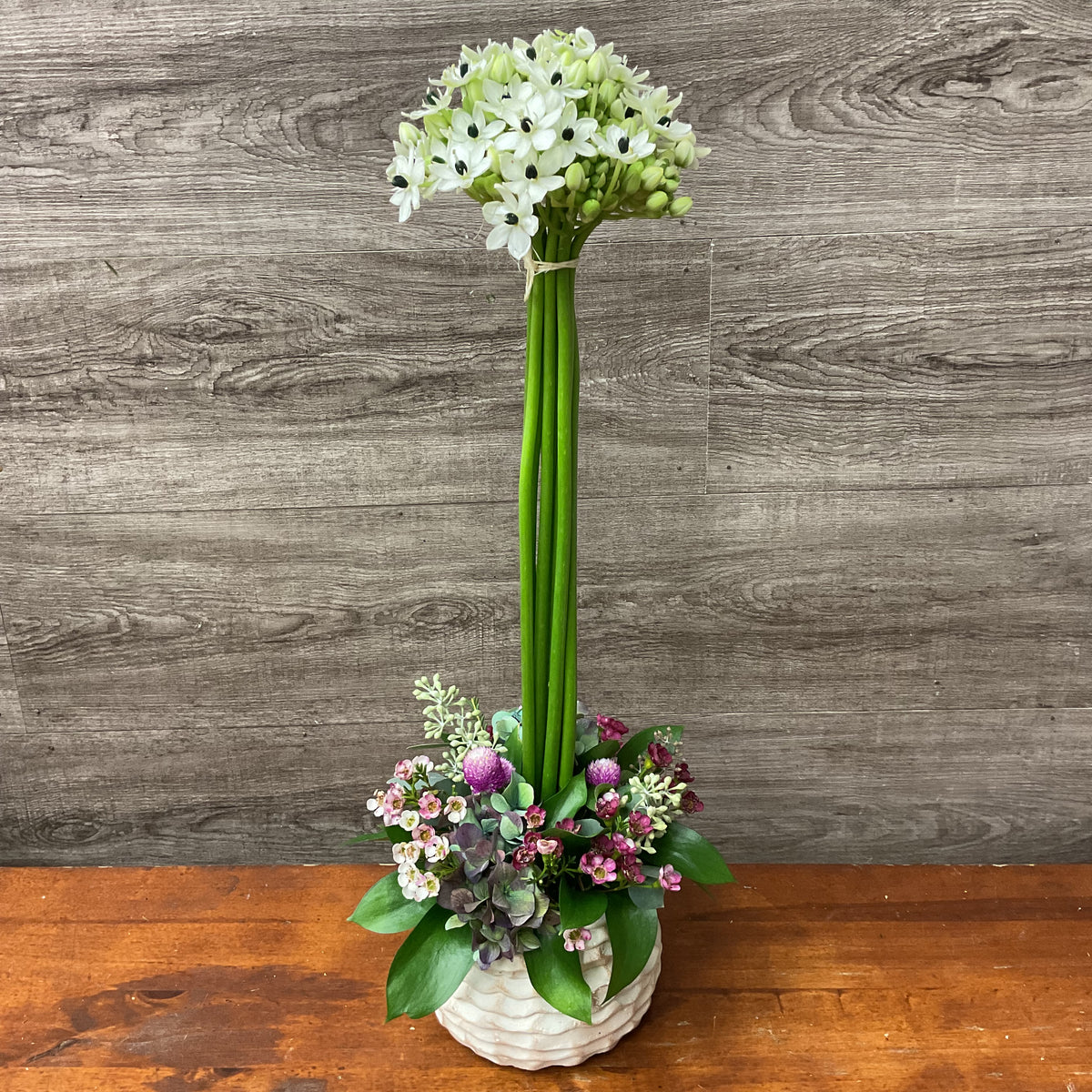 Star of Bethlehem Topiary