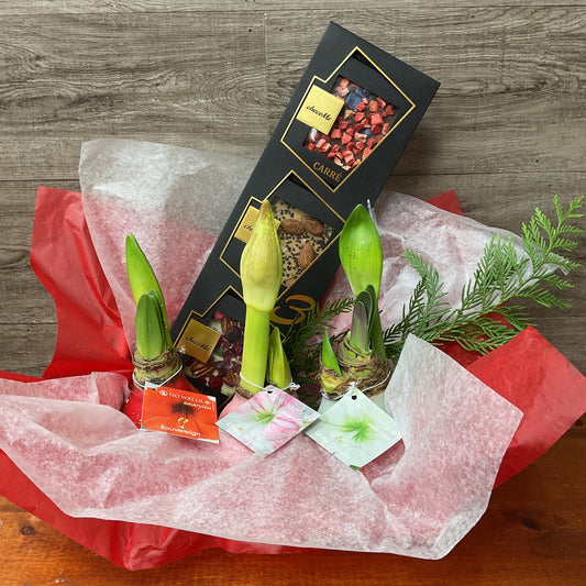 Favourite Things Gift Basket