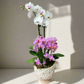 Mini Orchid Planter