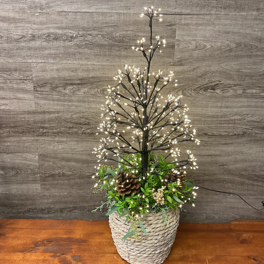 Magic Tree Arrangement