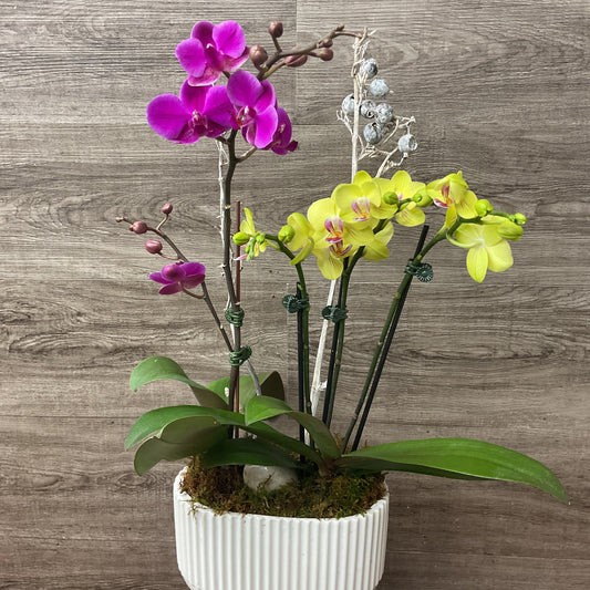 Mini Orchid Planter
