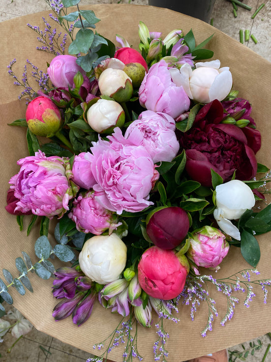 Peony lover BQ