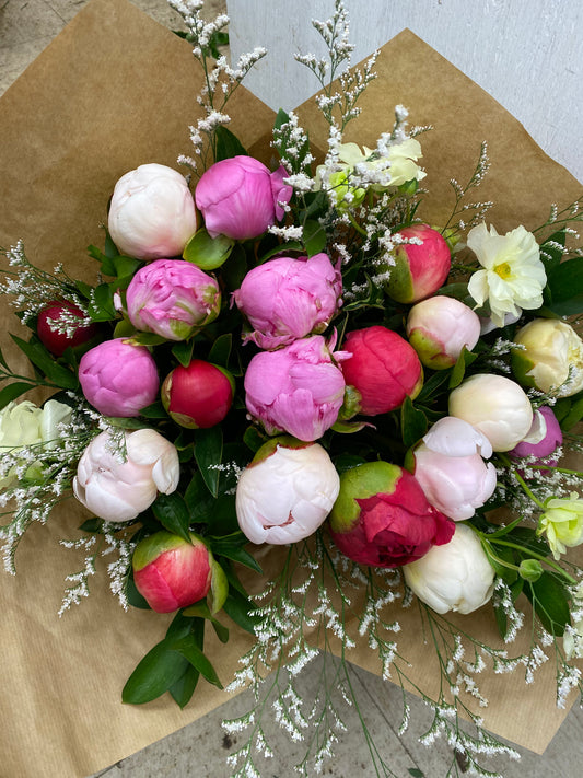 Peony lover BQ
