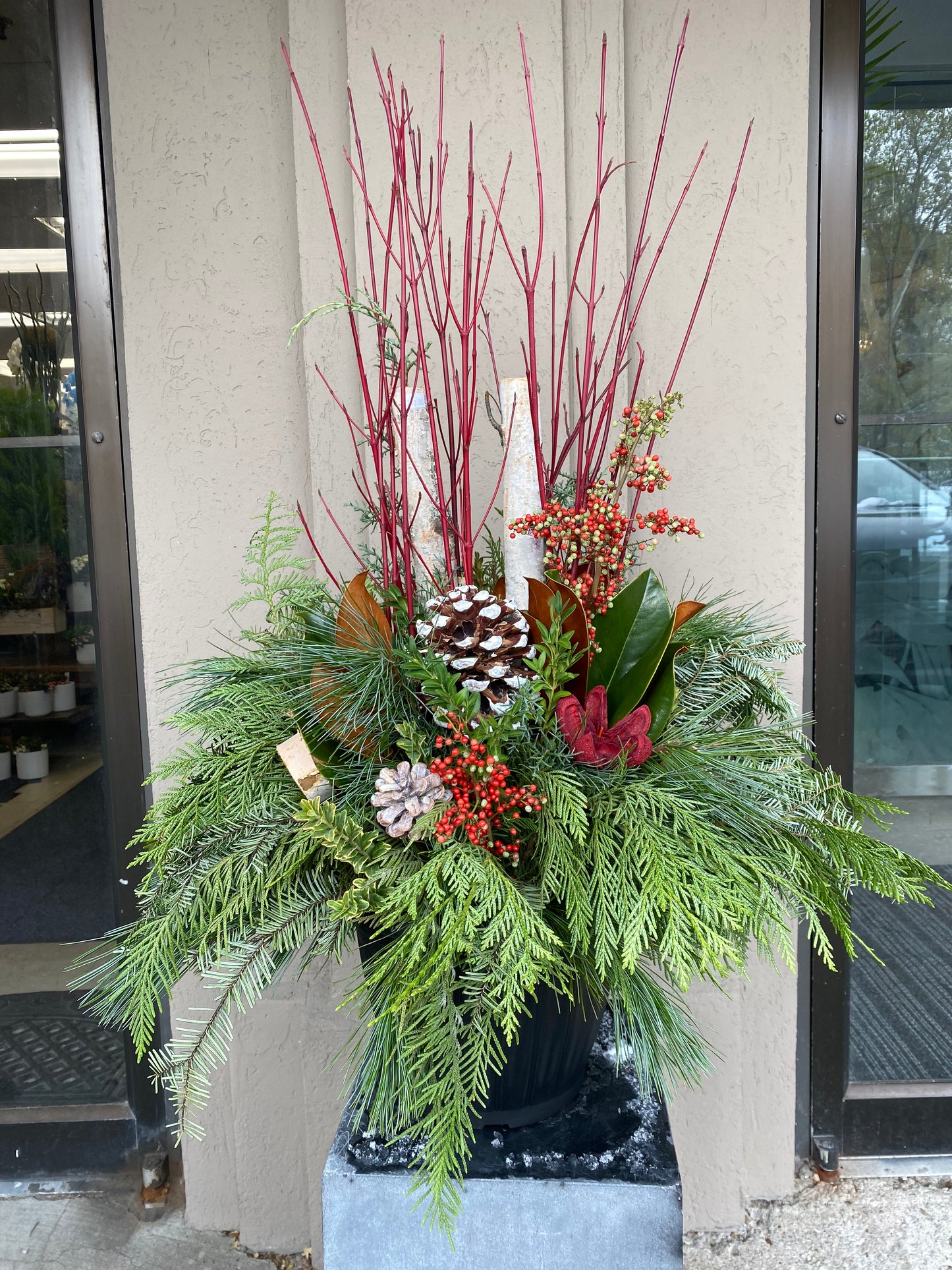 11" birch and dogwood planter